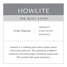 Load image into Gallery viewer, Howlite Earrings Stainless Steel