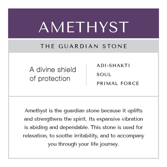 Amethyst Earrings Stainless Steel