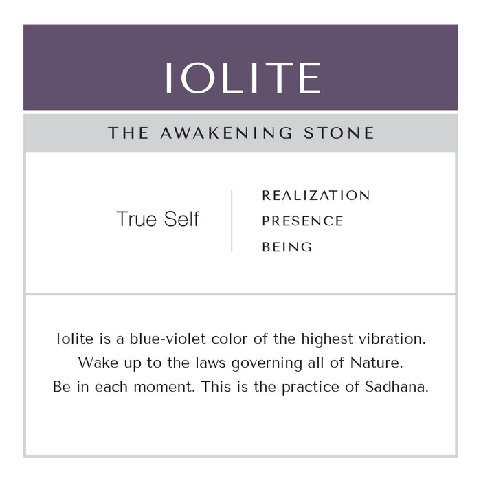 Iolite IGNITE Toggle Necklace ~ Stainless Steel FINE CURB Chain
