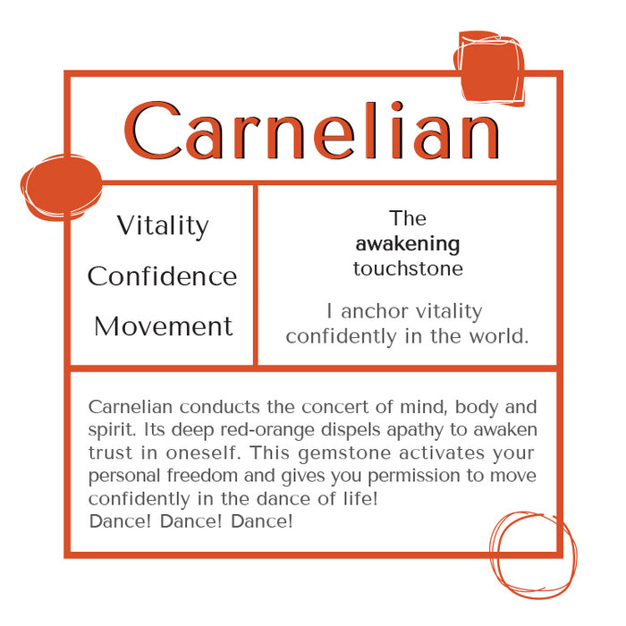 Carnelian Necklace Brass Paper Clip Chain